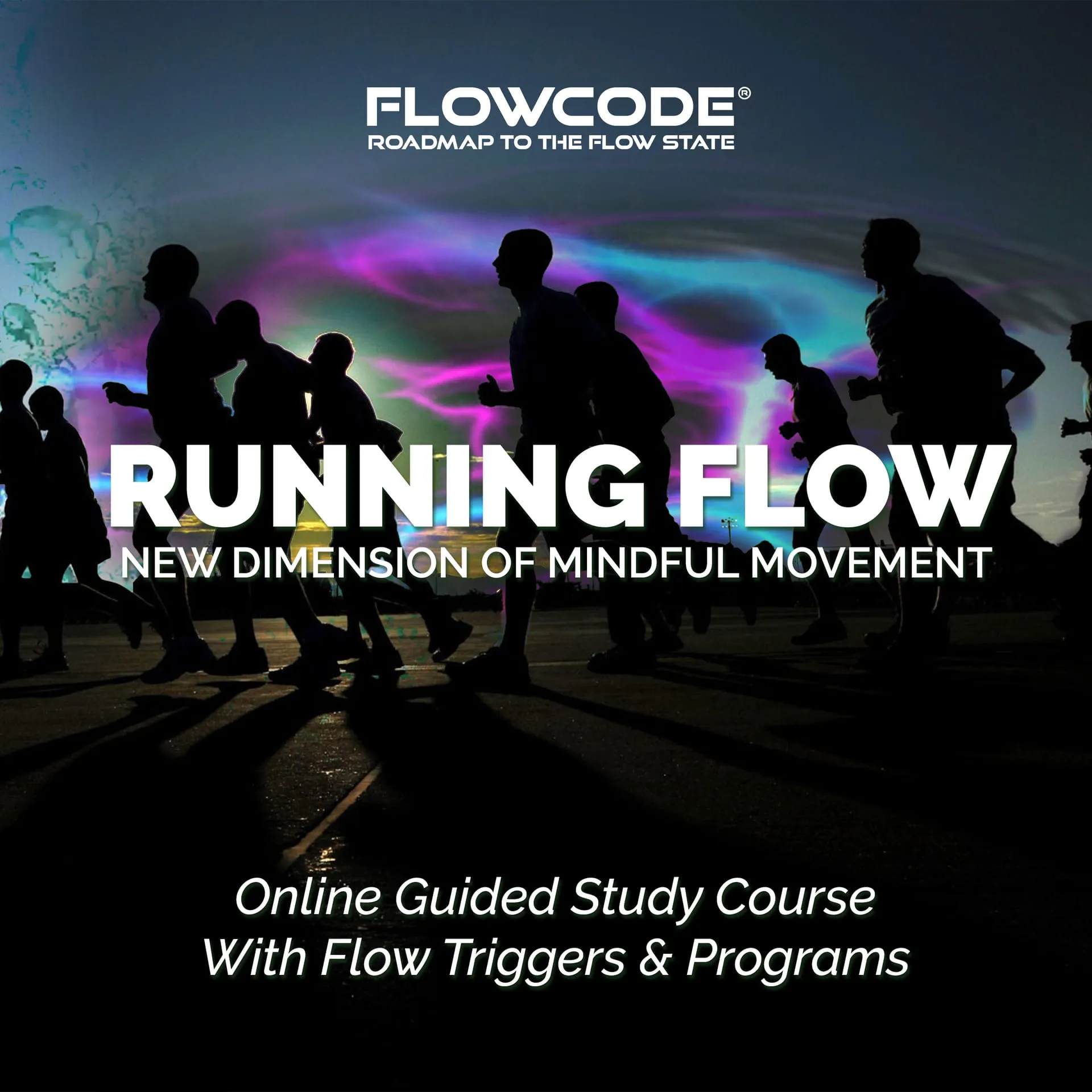 FlowCode — Non-Profit AI Coaching Platform for Human Performance ...