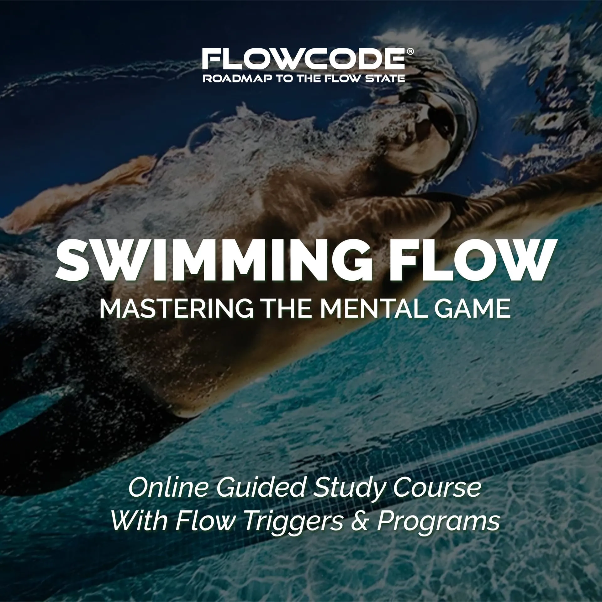 FlowCode — Non-Profit AI Coaching Platform for Human Performance ...
