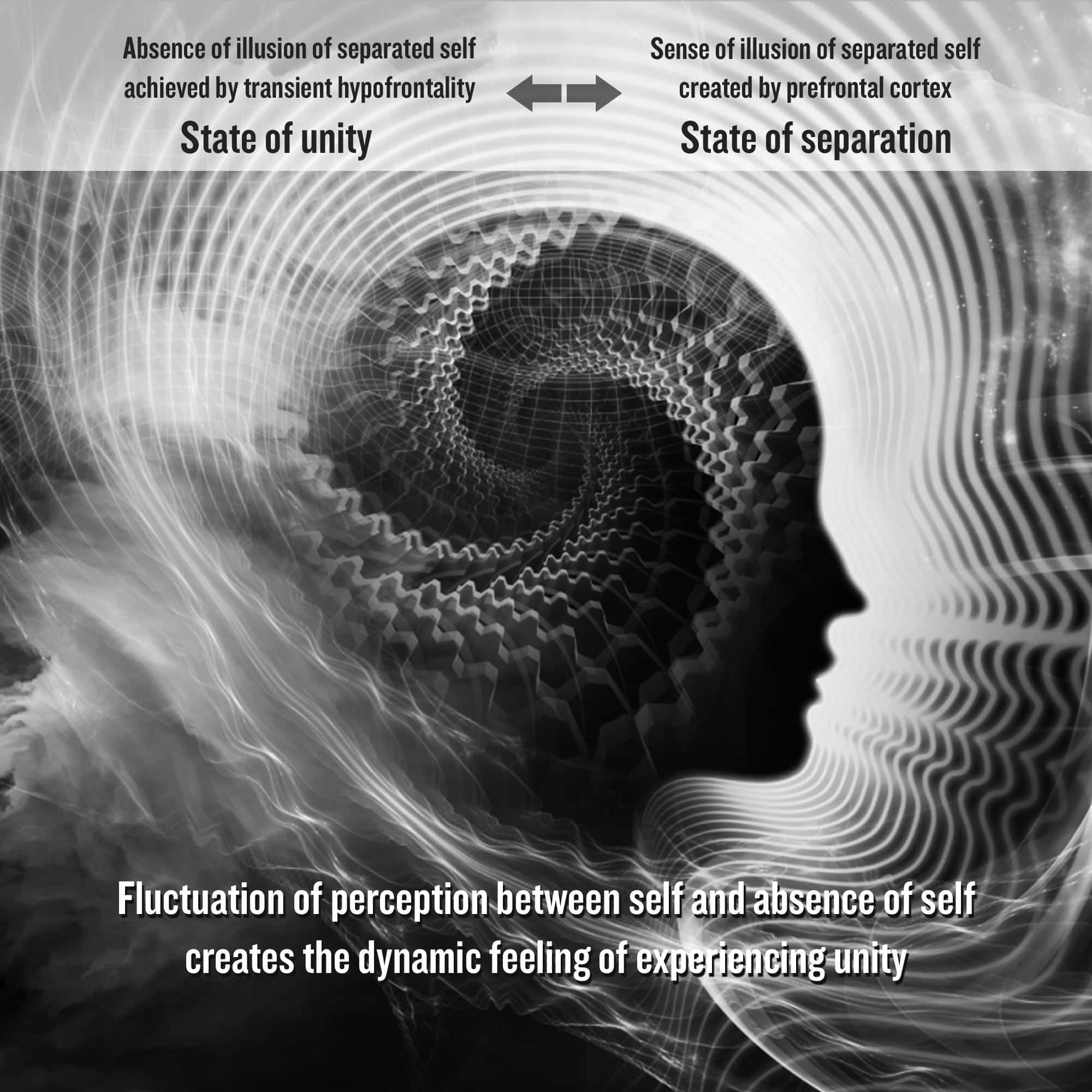 Flow state training / Unity through individuality and individuality ...