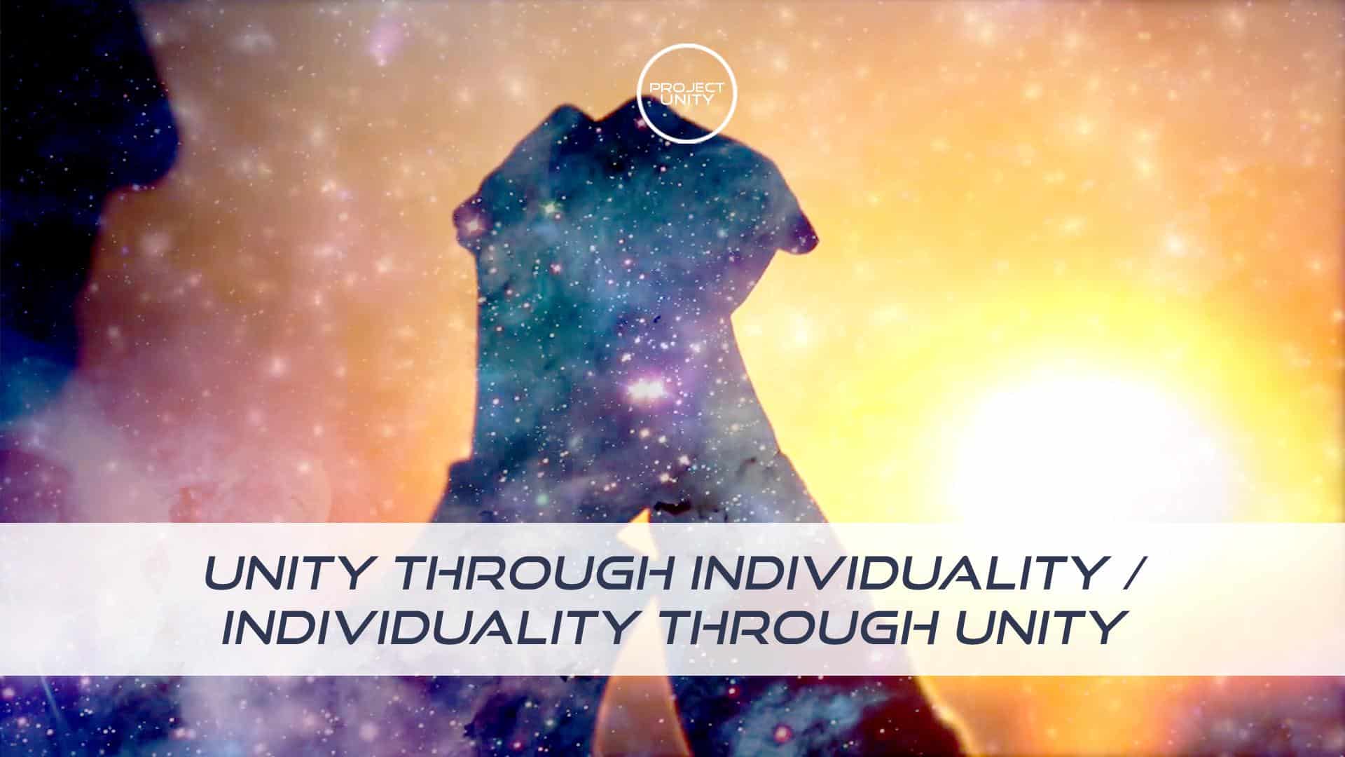 Flow state training / Unity through individuality and individuality ...