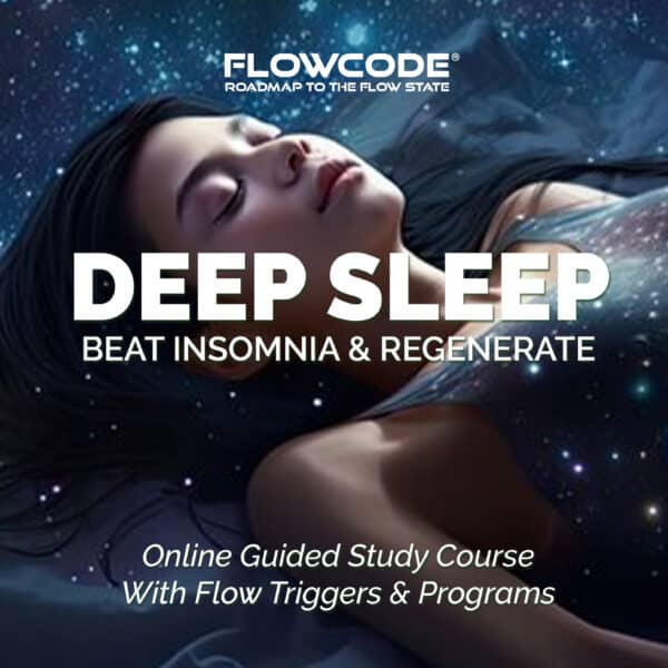 Life Academy - How To Achieve Flow State - FlowCode